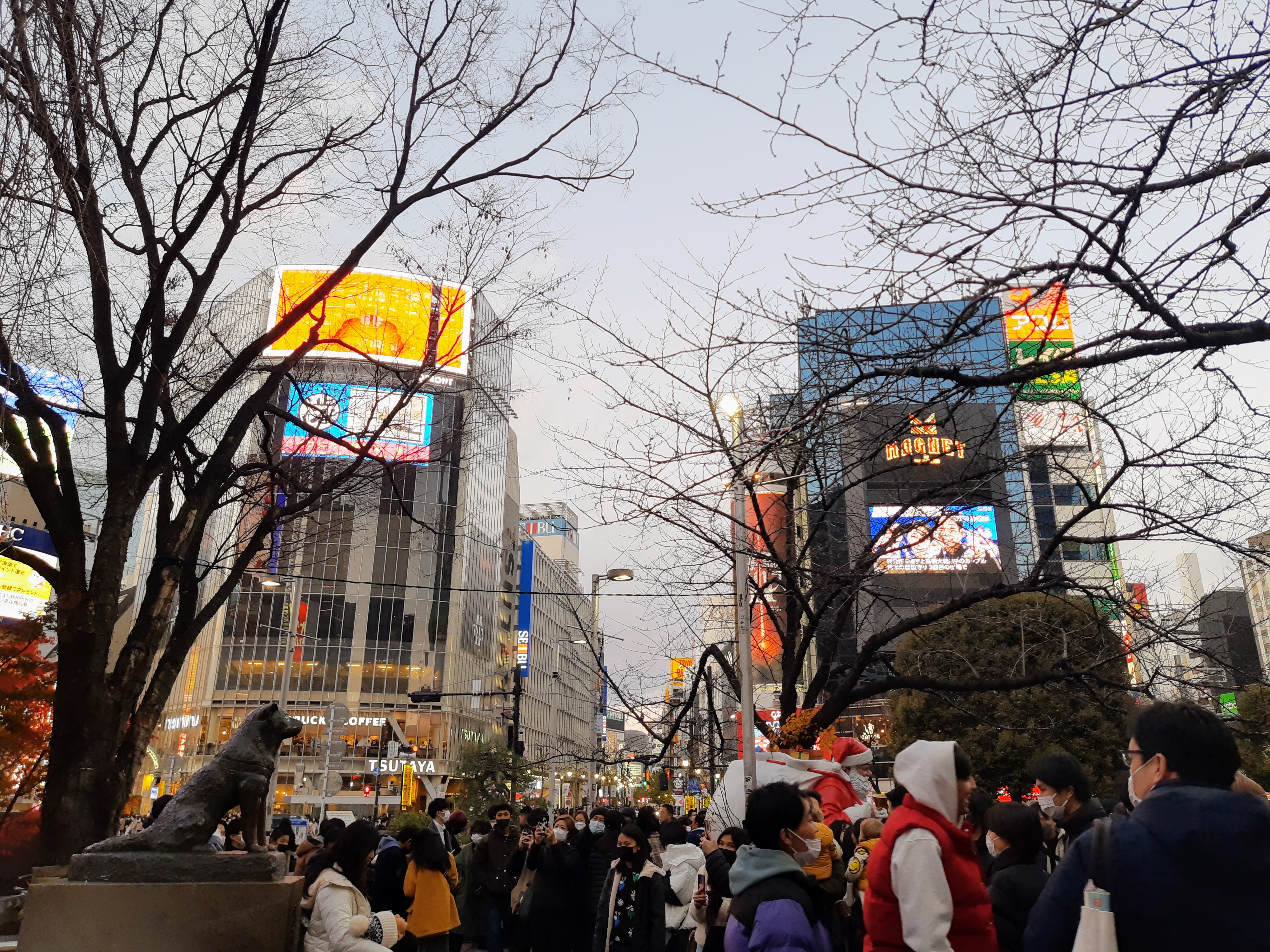 Hachiko at Shibuya