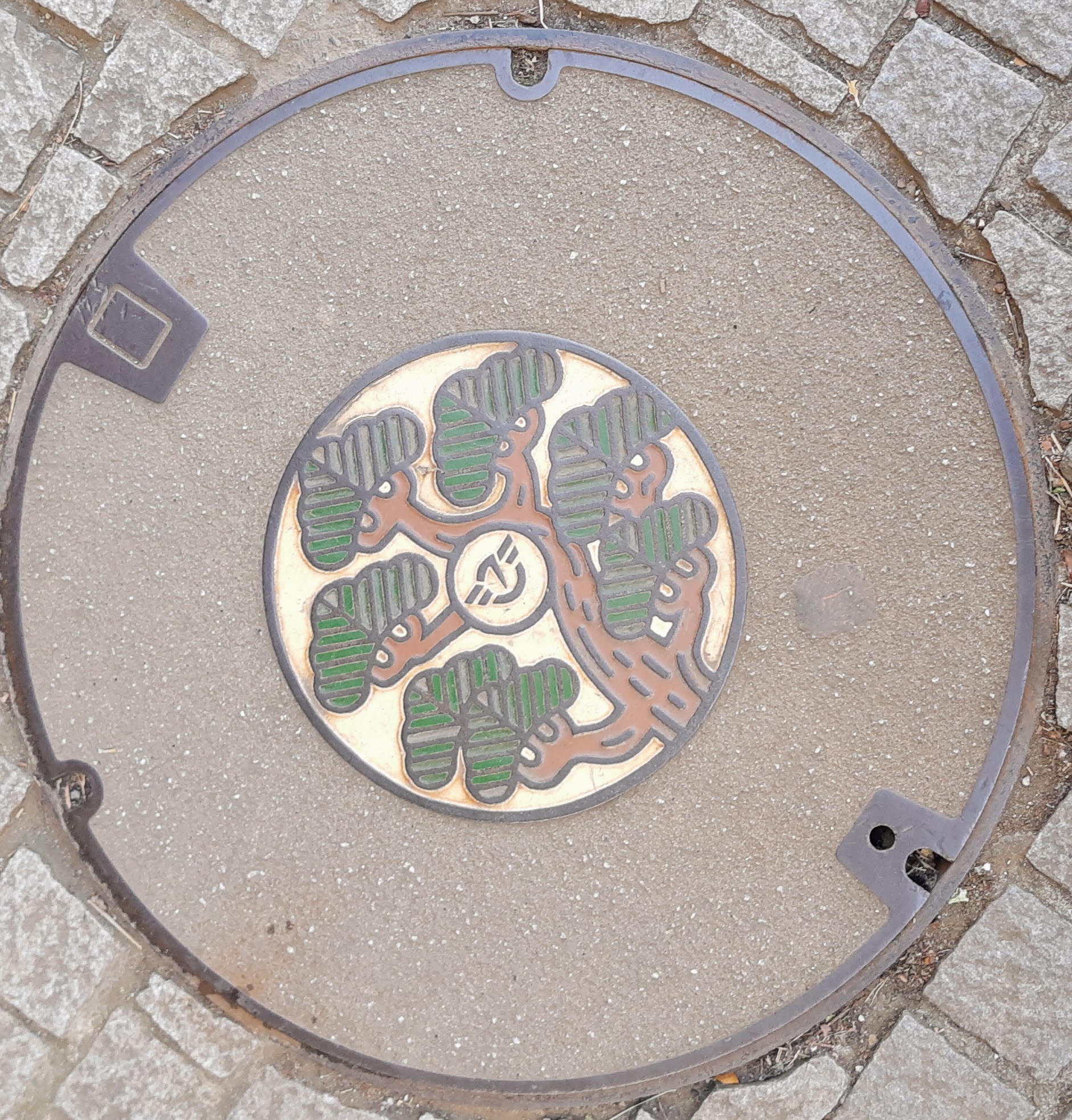 Delight on a manhole