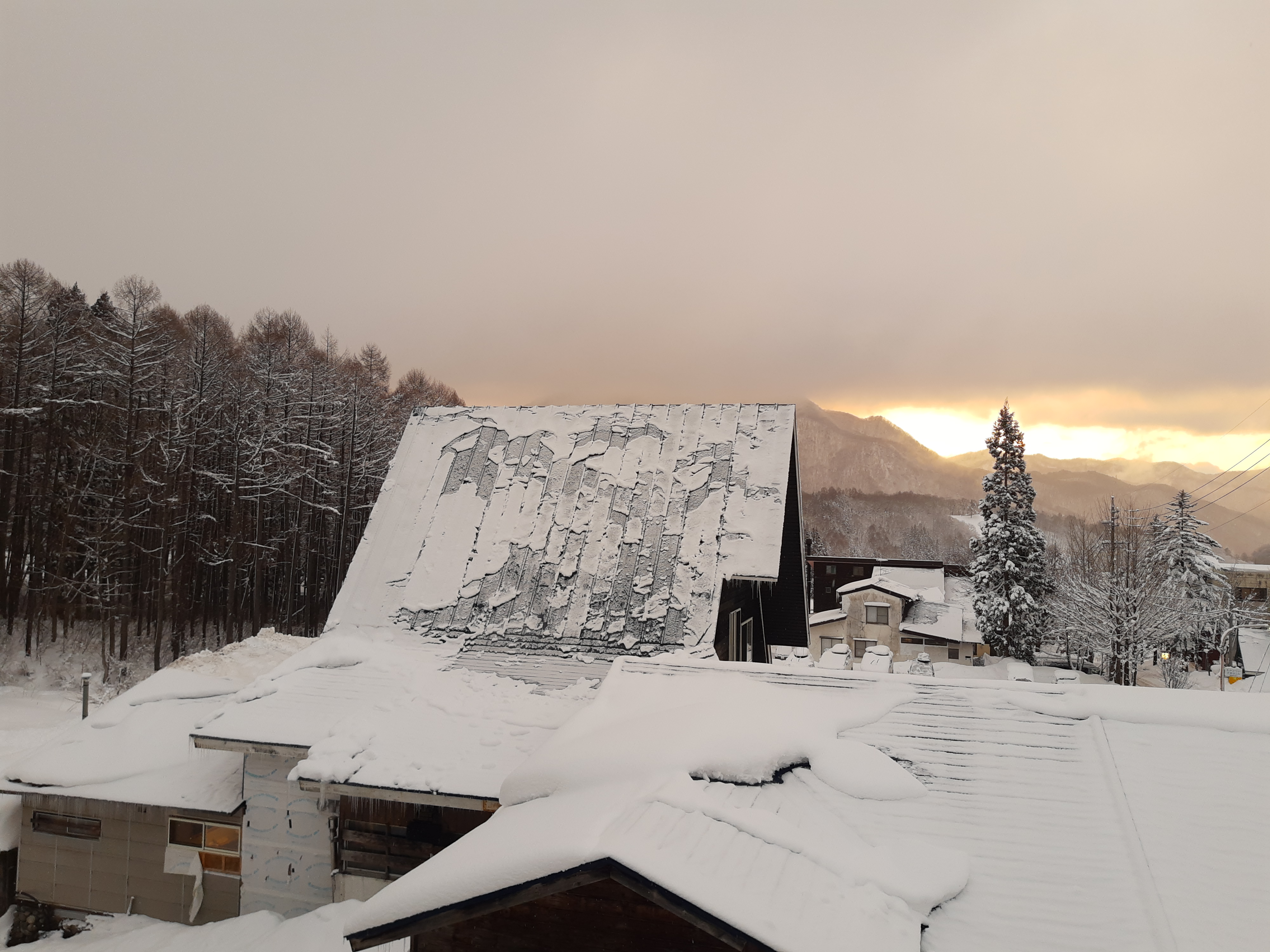 Sunrise, snow and forest